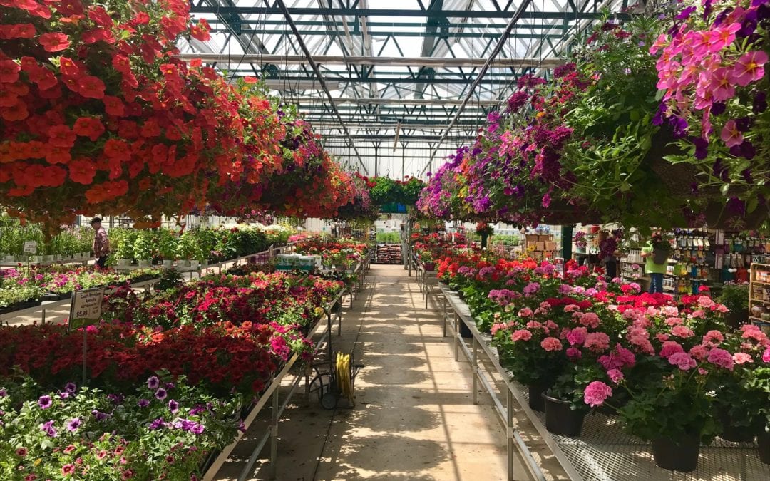 Caan Floral & Greenhouses
