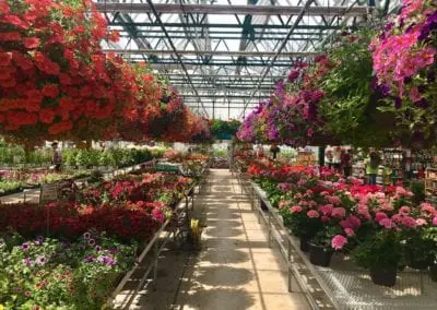 Caan Floral & Greenhouses